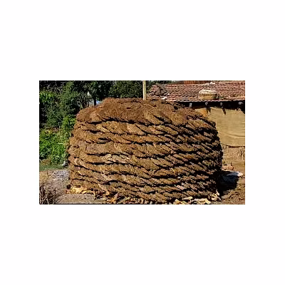 Cow dung-1