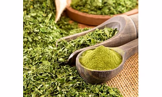 Moringa Powder