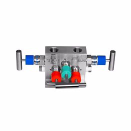 global make five valve manifold, direct mount t type (pipe x flange) model no. gv-123-5vmt for vent model no. gv-123-5vmt-v