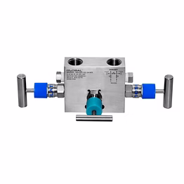 global make three valve manifold remote mount(pipe x pipe) model no. gv-111-3vmr for vent model no. gv-111-3vmr-v