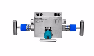Three Valve Manifold Remote Mount(Pipe x Pipe) Model No. GV-111-3VMR For Vent Model No. GV-111-3VMR-V