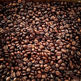 coffee beans arabica and robusta