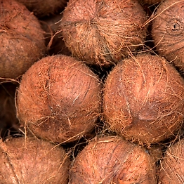 Semi Husked Coconut