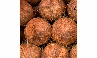Semi Husked Coconut