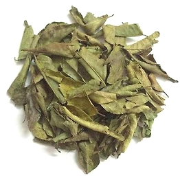 Curry Leaves