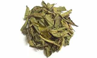 Curry Leaves