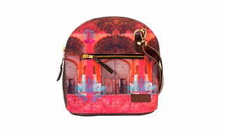 Women’s Pink Royal Door Unique Crossbody Bag