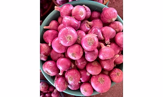 onion