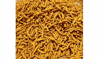 turmeric