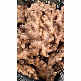 ginger