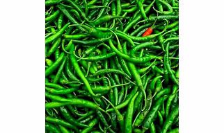 Chilli (G4)
