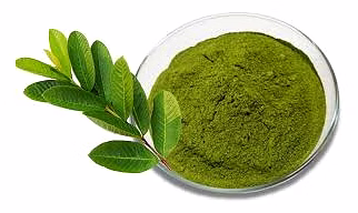 Guava Leaves Powder
