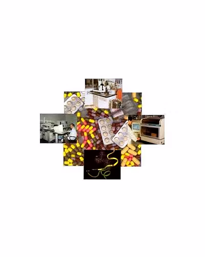 Drugs &amp; Pharmaceuticals-2
