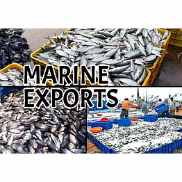 marine products