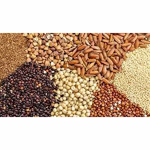 Animal Feed