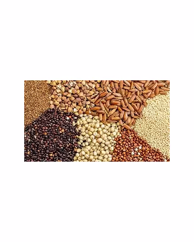 Animal Feed-2