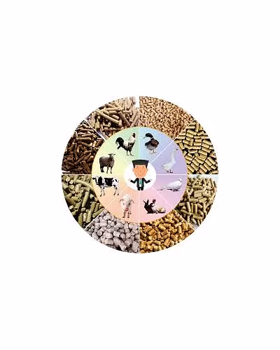 Animal Feed-12760487
