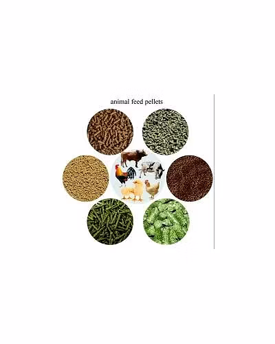 Animal Feed-1