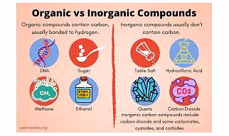 Organic & Inorganic Chemicals