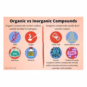 Organic & Inorganic Chemicals