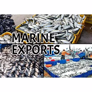 Marine Products