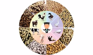 Animal Feed