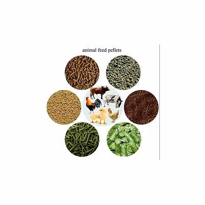 animal feed