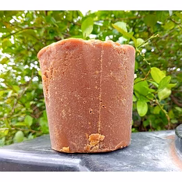 shree shyam regular jaggery