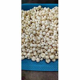 raw makhana 6+ grade premium quality