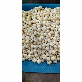 raw makhana 6+ grade Premium quality