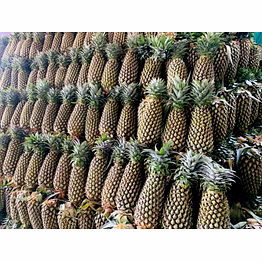 pineapples