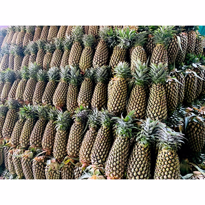 pineapples