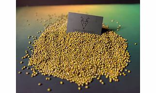 Green Gram