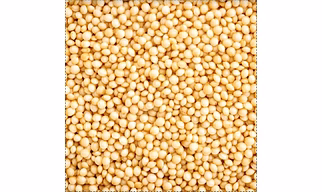 Amaranth Grain (Rajgira)