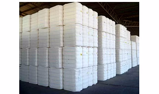 Cotton bales