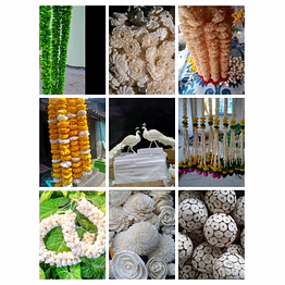 dried sola flower,dried foliage,brances other plants parts for decorative