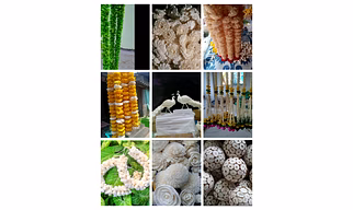 DRIED SOLA FLOWER,DRIED FOLIAGE,BRANCES OTHER PLANTS PARTS FOR DECORATIVE