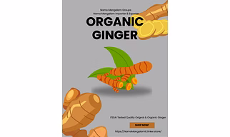 NMIE | ORGANIC GINGER