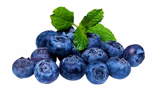Blueberry