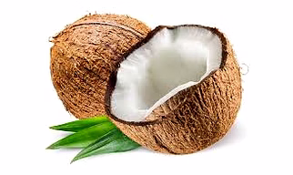 Coconut