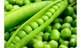 Green Pea