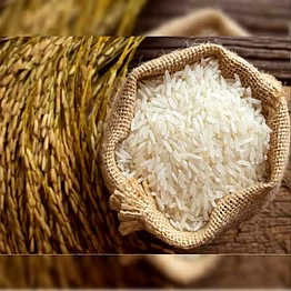 basmati rice (varieties like 1121, golden sella, 1509, pusa, sharbati, dehraduni)