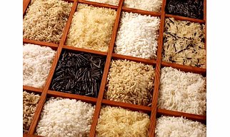 Rice (Jasmine Rice, Mogra, Seeraga Samba, Ponni, RNR and Other Indian Rice Varieties)