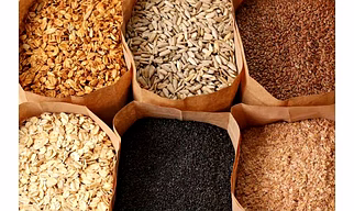 Wheat and Other Grains