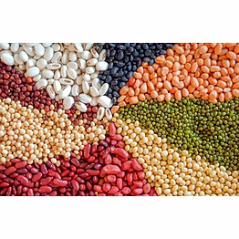 pulses (dal varieties)