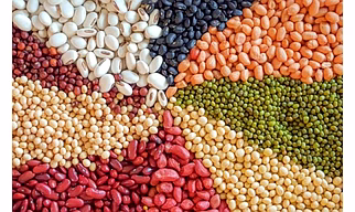 Pulses (Dal varieties)