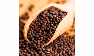 Black and Yellow Mustard Seeds