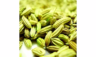 Fennel Seeds