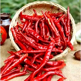 red chilli (guntur, teja, kashmiri, s17, byadgi, etc.,).