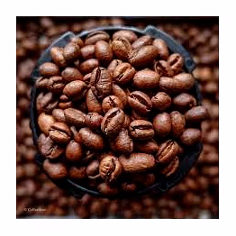 coffee - robusta & arabica (green & roasted).